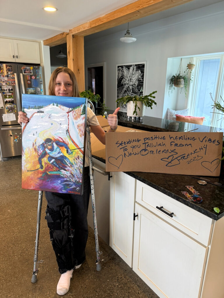 A Frenchy painting displayed by a collector in Stowe